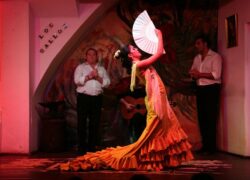 Dónde ver flamenco en sevilla